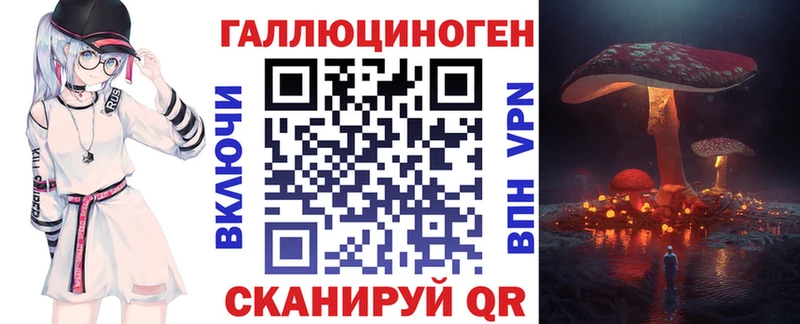 Псилоцибиновые грибы Psilocybine cubensis Нерюнгри